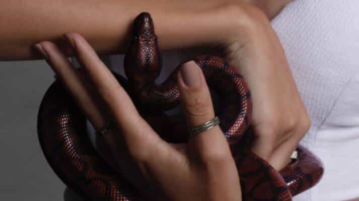 Bague serpent signification